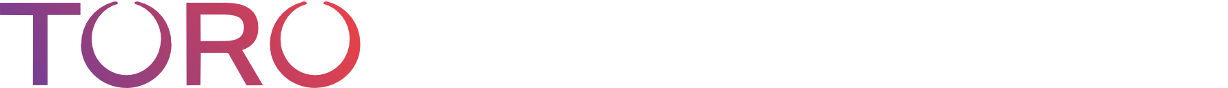 TORO Cloud Logo